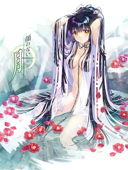 无颜之月-待宵双椿 故事片段 展示图